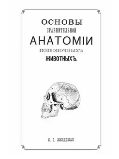 Основы сравнительной анатомии позвоно