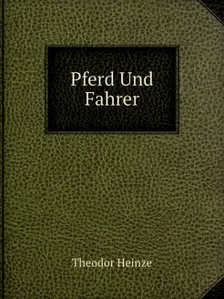 Pferd Und Fahrer