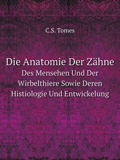 Die Anatomie Der Zähne. Des Mensehen