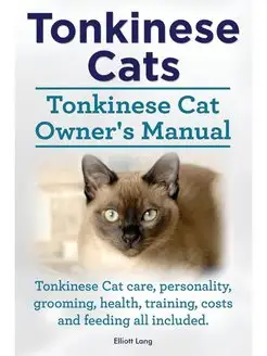 Tonkinese Cats. Tonkinese Cat Owner's