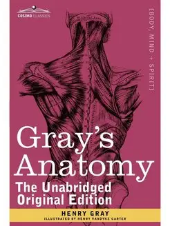 Gray's Anatomy. Descriptive and Surgical