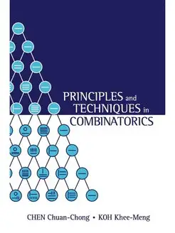 Principles and Techniques in Combinat