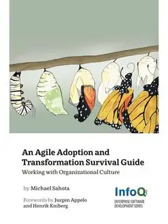 An Agile Adoption and Transformation