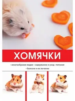 Хомячки