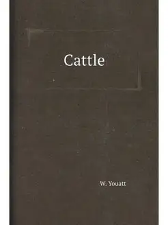 Cattle