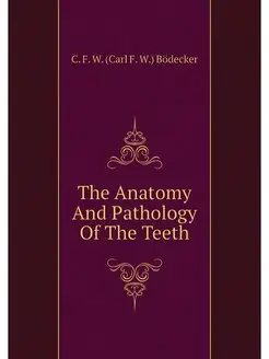 The Anatomy And Pathology Of The Teeth