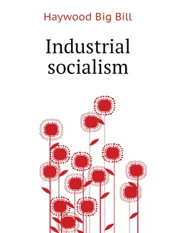 Industrial socialism