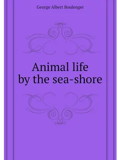 Animal life by the sea-shore