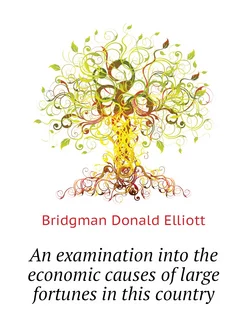 An examination into the economic causes of large for