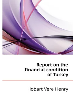 Report on the financial condition of Turkey