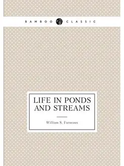 Life in Ponds and Streams