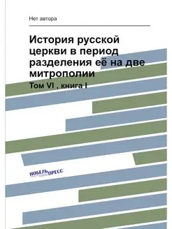 История русской церкви в период разде