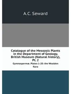 Catalogue of the Mesozoic Plants in t