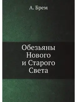 Обезьяны Нового и Старого Света