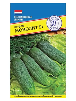 Огурец "МОНОЛИТ" F1 ультраранний (5 шт семян)