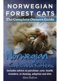 Norwegian Forest Cats and Kittens. Co