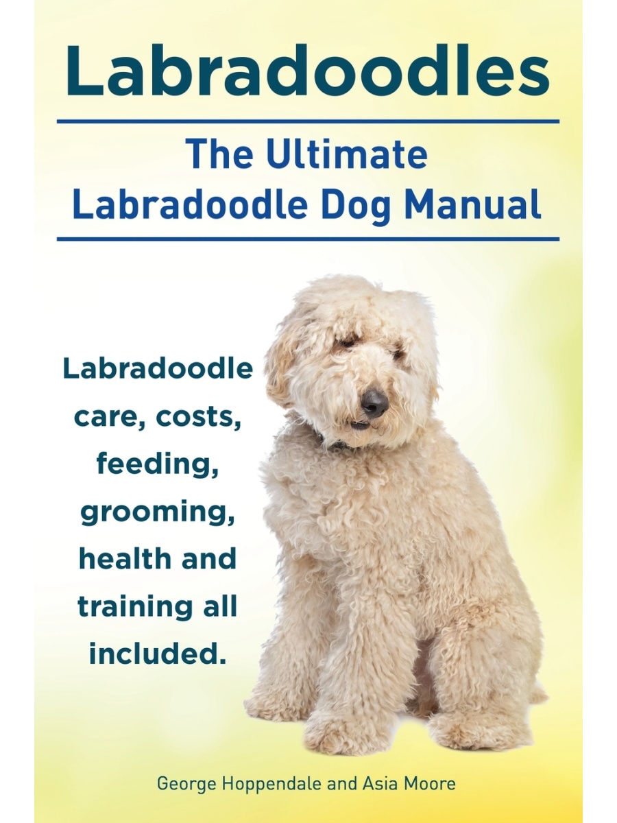 how much should i feed my labradoodle