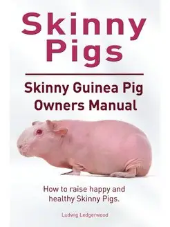 Skinny Pig. Skinny Guinea Pigs Owners