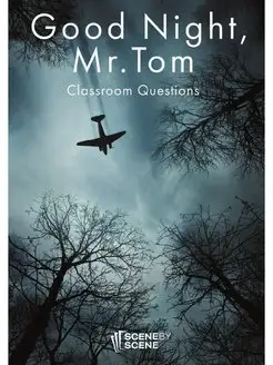 Good Night, Mr. Tom Classroom Questions