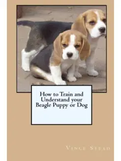 How to Train and Understand your Beagle Puppy or Dog