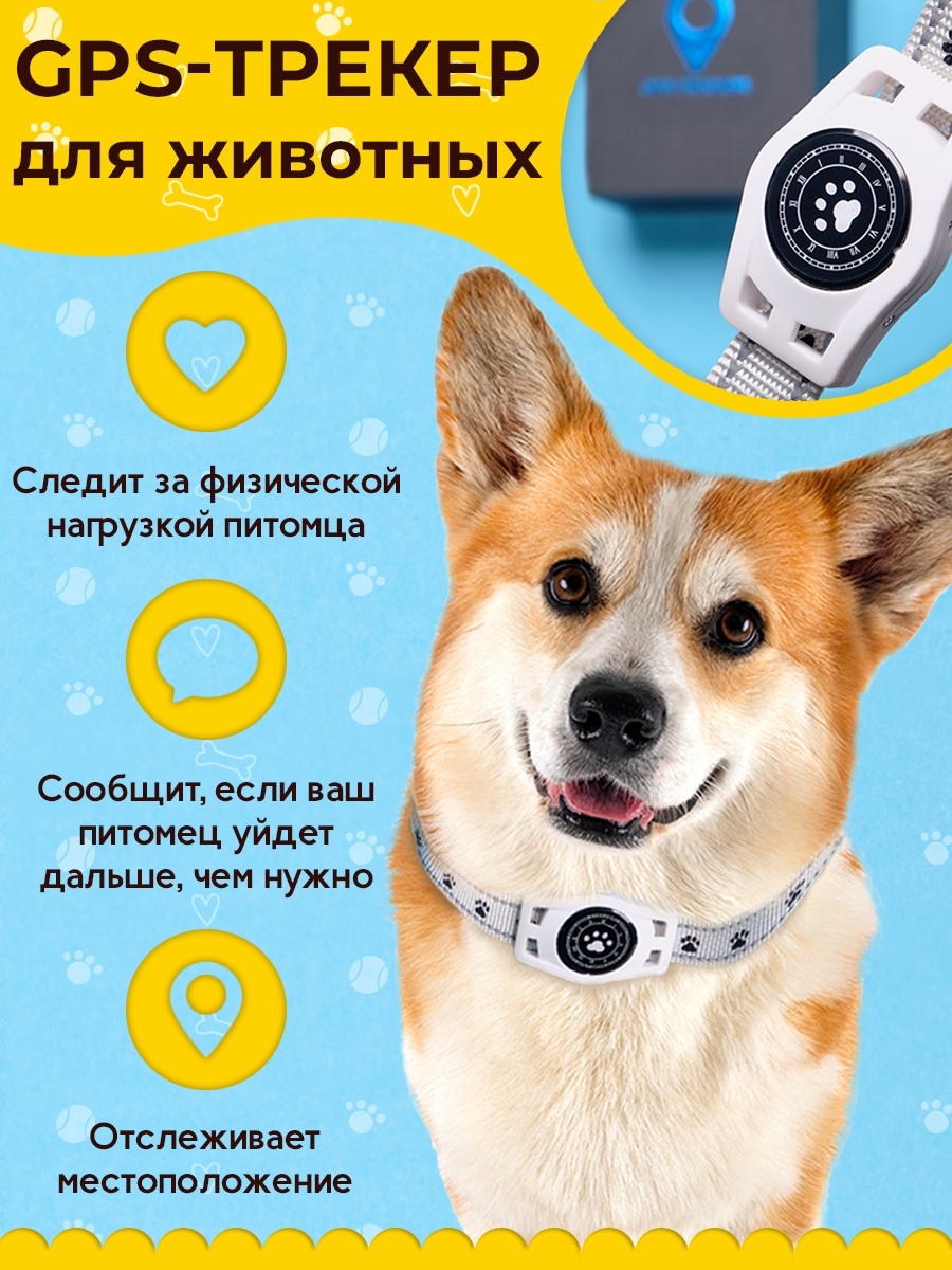 Подборка GPS-трекеров для собак и кошек: выбираем лучший