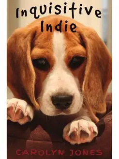 Inquisitive Indie