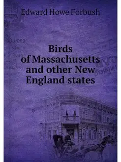 Birds of Massachusetts and other New