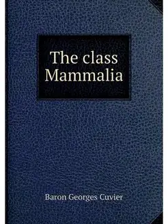 The class Mammalia