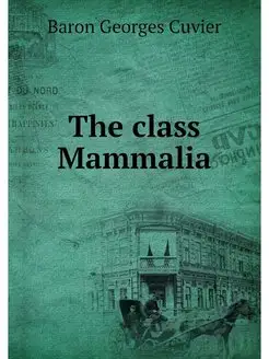 The class Mammalia