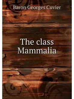 The class Mammalia