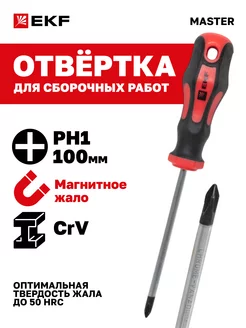 Отвертка Master PH1x100 мм