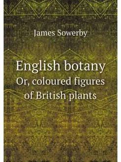 English botany. Or, coloured figures