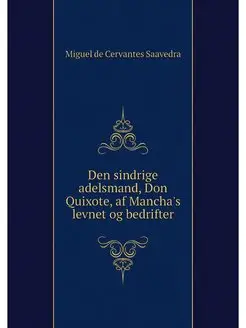 Den sindrige adelsmand, Don Quixote