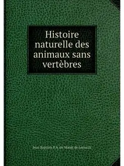 Histoire naturelle des animaux sans v