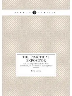 The practical expositor. Or, An exposition of the Ne