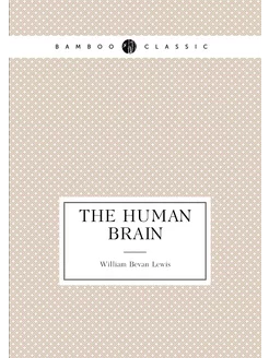 The Human brain