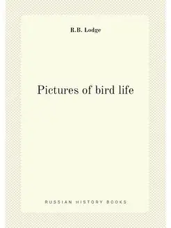 Pictures of bird life