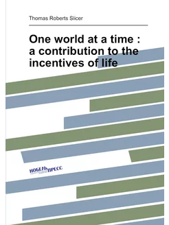 One world at a time a contribution to the incentiv