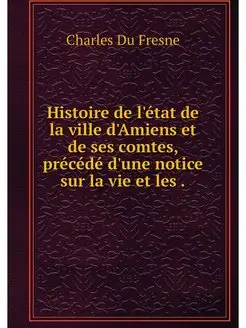 Histoire de l'etat de la ville d'Amie