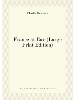 France at Bay (Large Print Edition)