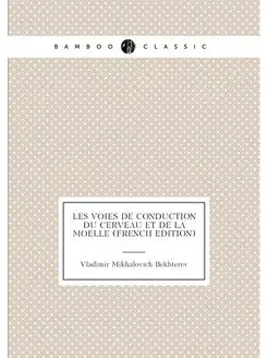 Les Voies De Conduction Du Cerveau Et