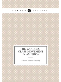 The working-class movement in America