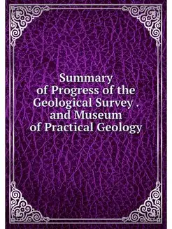 Summary of Progress of the Geological