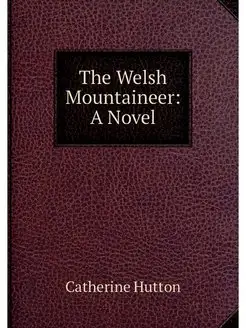 The Welsh Mountaineer A Novel