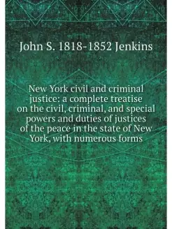 New York civil and criminal justice