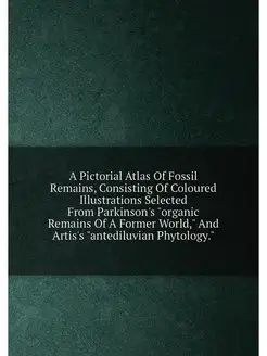 A Pictorial Atlas Of Fossil Remains, Consisting Of C