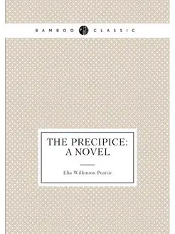 The Precipice A Novel