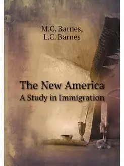 The New America A Study in Immigrati