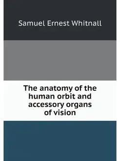 The anatomy of the human orbit and ac