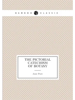 The pictorial catechism of botany